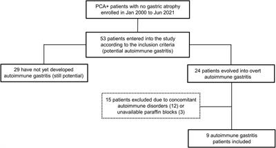 Increase of Deep Intraepithelial Lymphocytes in the Oxyntic Mucosa of Patients With Potential and Overt Autoimmune Gastritis